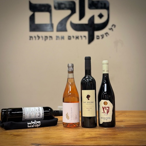 מכרז 17/4/2025 